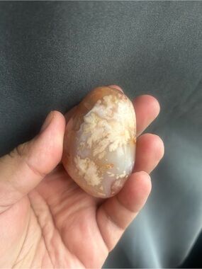 Polished flower Agate Palm Stone - Cream, Tan & Gray Tones